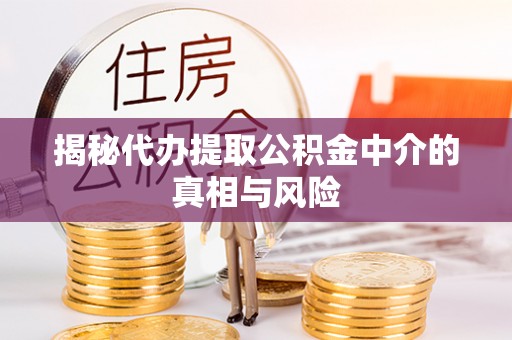 凤台揭秘代办提取公积金中介的真相与风险