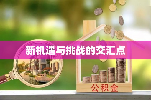 凤台新机遇与挑战的交汇点