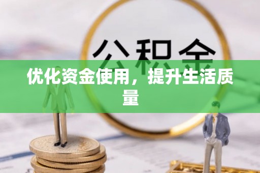 凤台优化资金使用，提升生活质量
